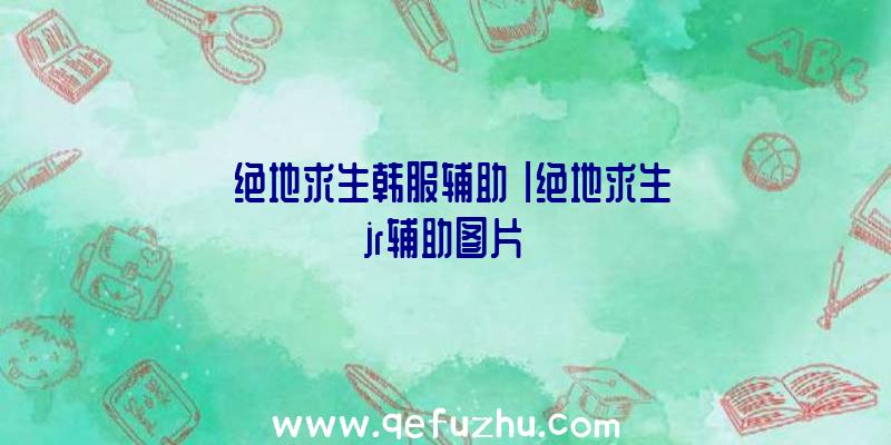 「绝地求生韩服辅助」|绝地求生jr辅助图片